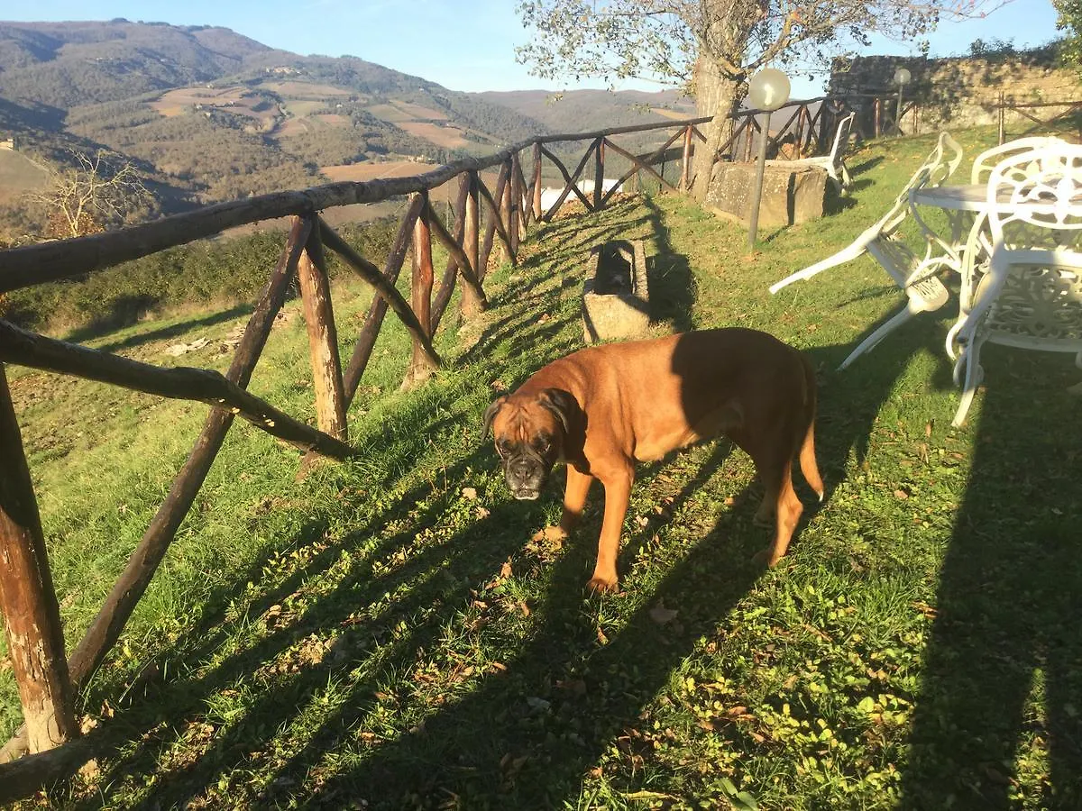 Camere E Appartamenti Baldini Romanita Radda in Chianti Frühstückspension