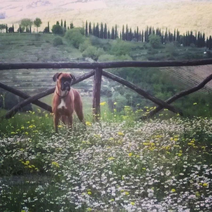 Camere E Appartamenti Baldini Romanita Radda in Chianti Frühstückspension