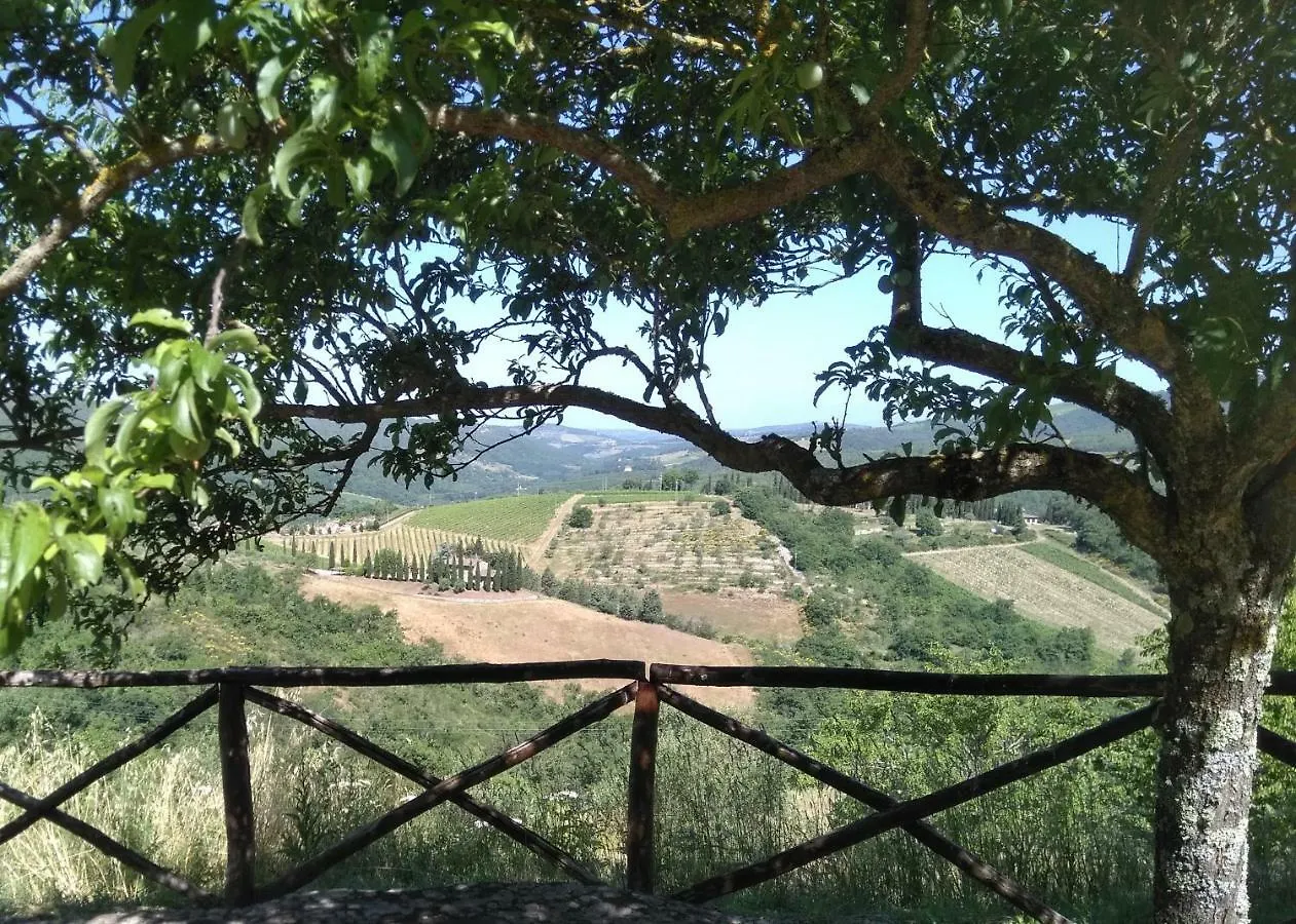 Camere E Appartamenti Baldini Romanita Radda in Chianti Frühstückspension