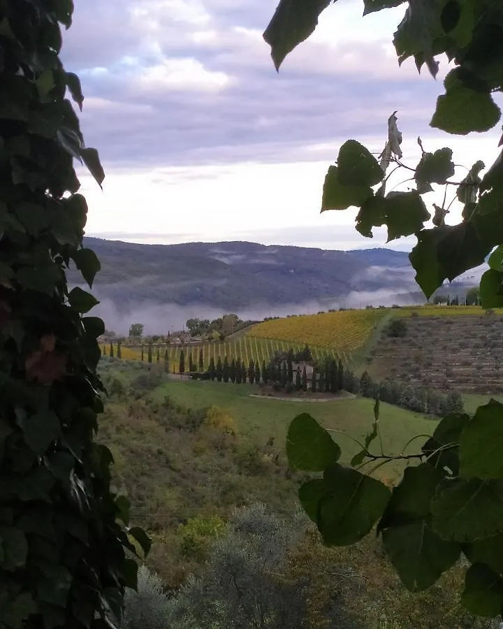 Camere E Appartamenti Baldini Romanita Radda in Chianti